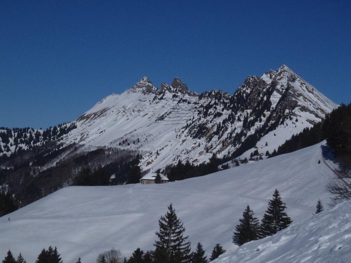 モントルー Gais Alpinsヴィラ エクステリア 写真